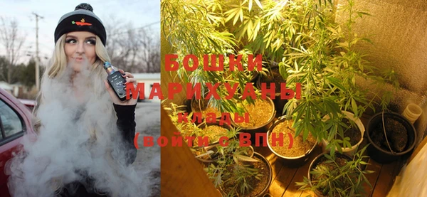 мдпв Михайлов