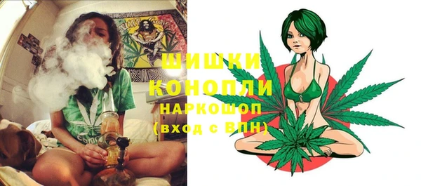 мдпв Михайлов