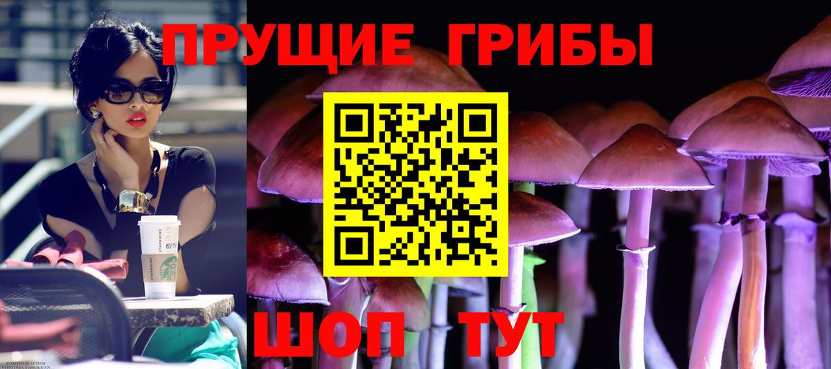 Псилоцибиновые грибы мицелий  Касимов 