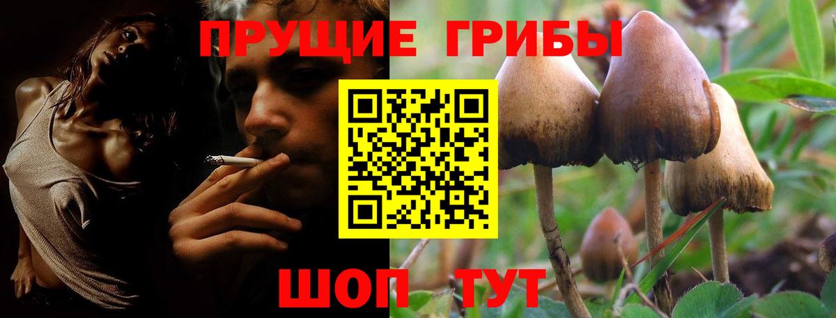 Галлюциногенные грибы Magic Shrooms Касимов