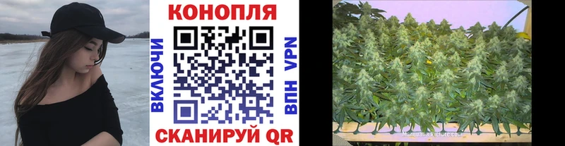 shop какой сайт Касимов Бошки Шишки ГИДРОПОН
